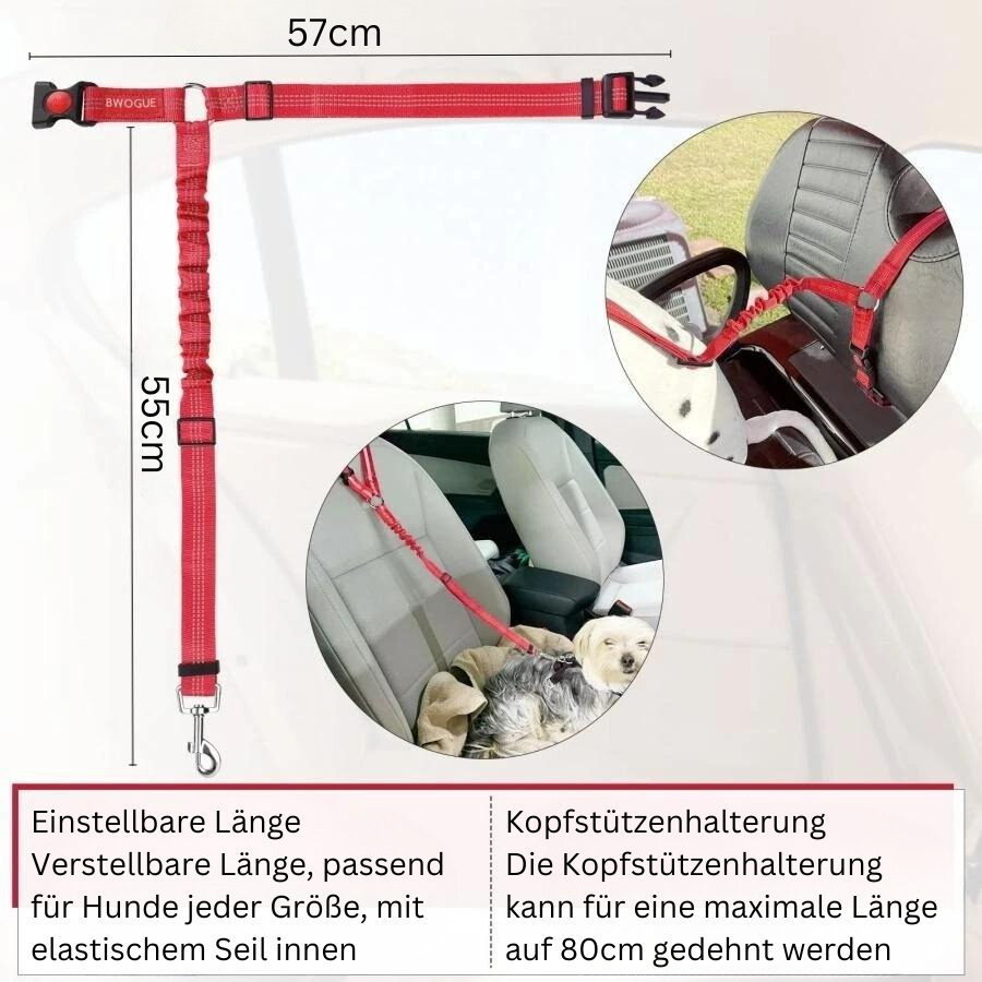 SafePaws Auto-Sicherheitsgurt