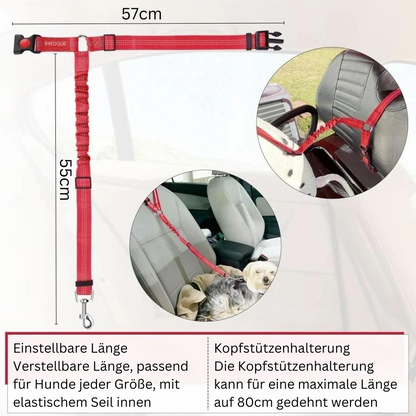 SafePaws Auto-Sicherheitsgurt